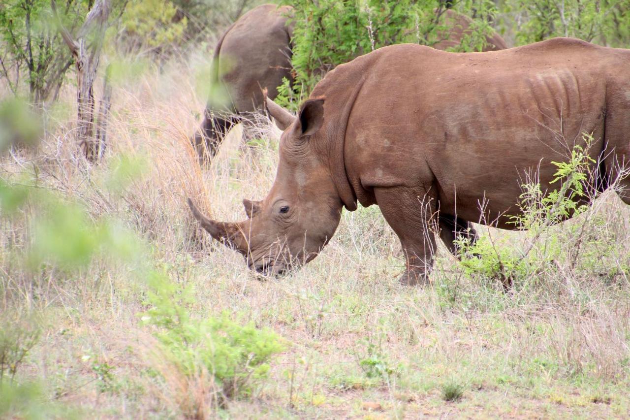 Jackals Dream - Self Catering Villa Bordering Kruger National Park Marloth Park Exteriör bild