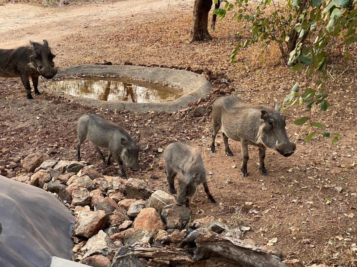 Jackals Dream - Self Catering Villa Bordering Kruger National Park Marloth Park Exteriör bild