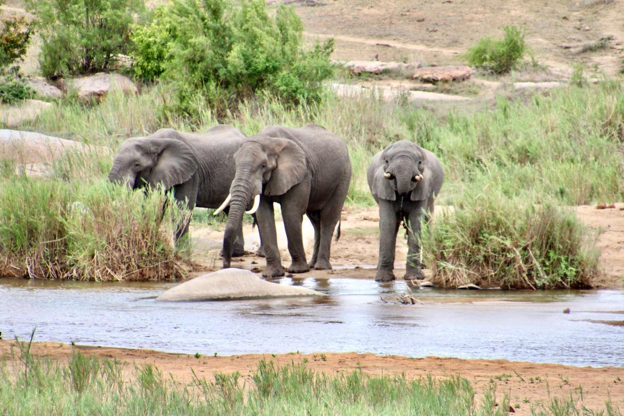 Jackals Dream - Self Catering Villa Bordering Kruger National Park Marloth Park Exteriör bild